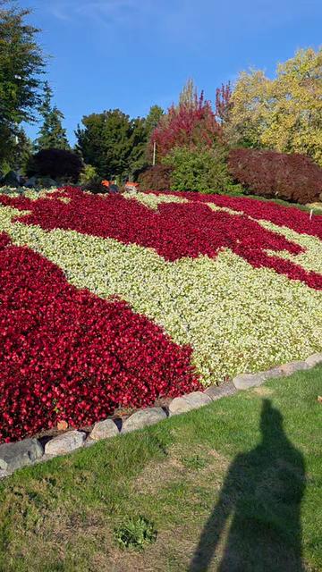 @Diverse Canada