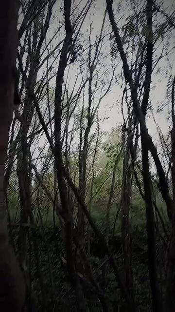@Ржавый гроб ⚰️