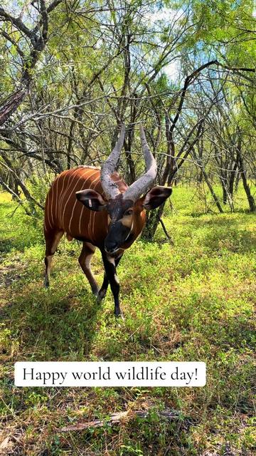 @WildLife Partners