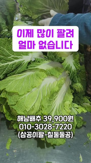 @한입의행복