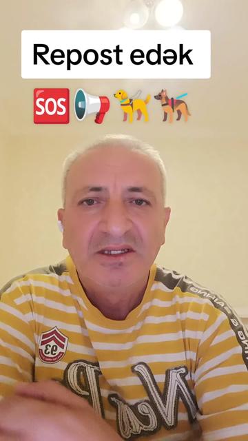 @Sahibsiz heyvanlara dəstək
