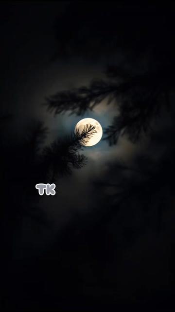 @❤️ TK ❤️