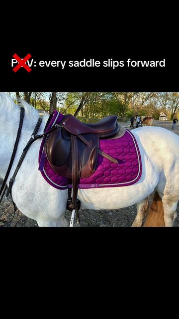 @SchimmelponyParadise