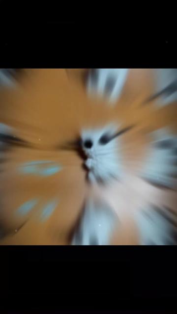 @𝐁𝐢𝐧𝐡𝐳✰