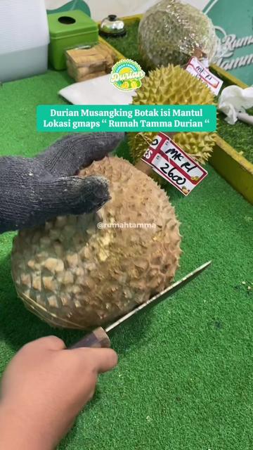 @Rumah Tamma Durian