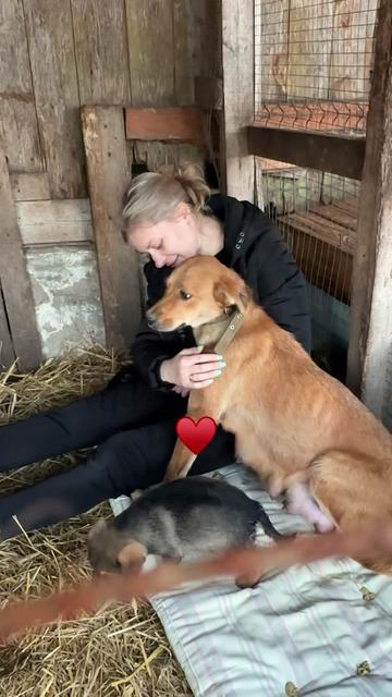 @Директор «Песокот»250🐈🐶