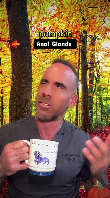 @dr.adam_christman_Veterinarian