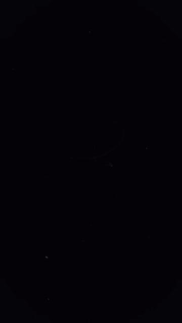 @𝐀𝐫𝐥𝐢𝐧𝐝 ☾
