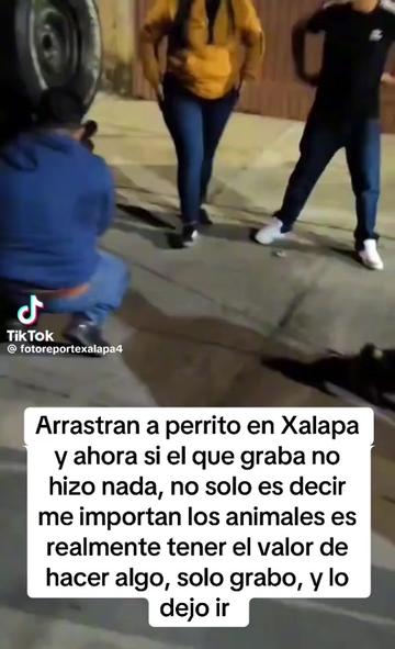 @Verdinus