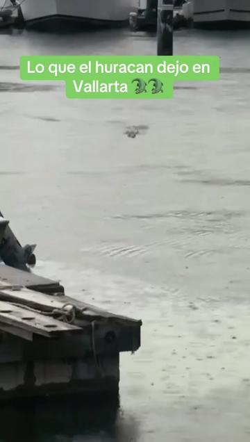 @Beto chob