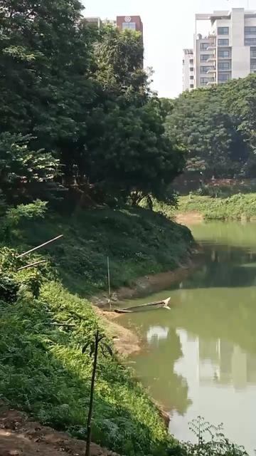@ashikkhan