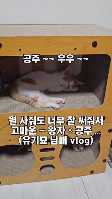 @๐ฉ์ด์์ฌ×234๐ฉ