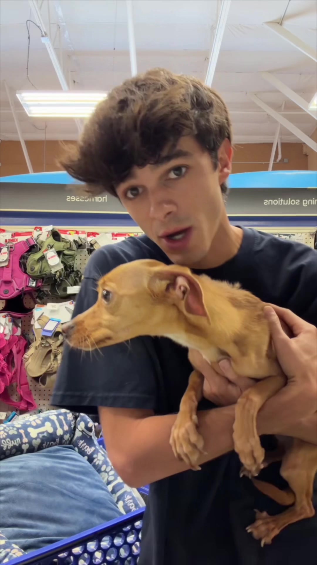 @Brent Rivera