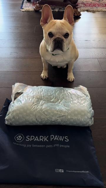 @Hanway&Dallas