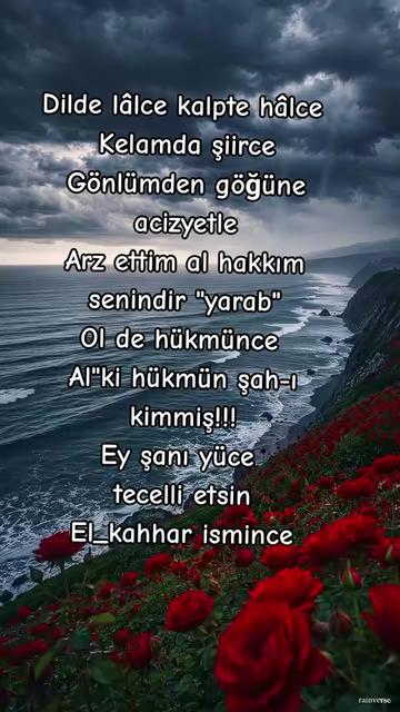 @🇹🇷. YALINIZ ADAM 🇹🇷