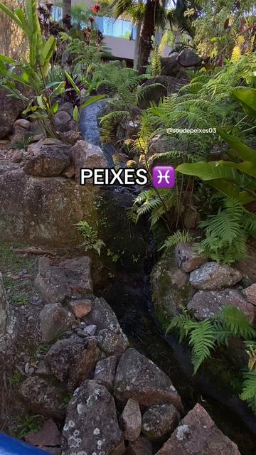 @soudepeixes