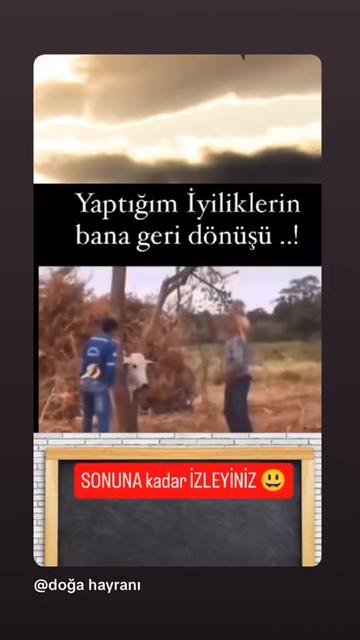@doğa hayranı
