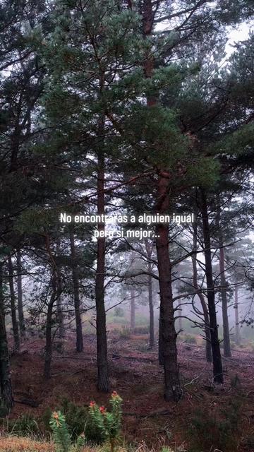@🌺 𝓘𝓿𝓪𝓷𝓬𝓪 🌺