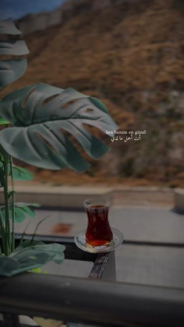 @Hasnaabadla