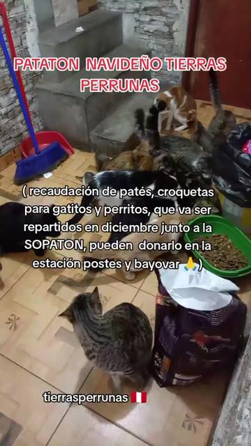 @Asociación T.Perrunas🐕🐈🇵🇪