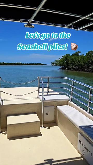 @The Seashell Mermaid ๐