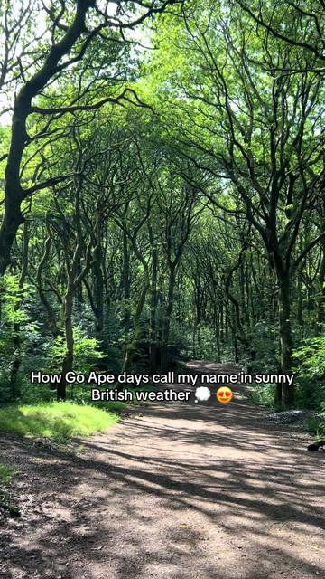 @Go Ape Rivington