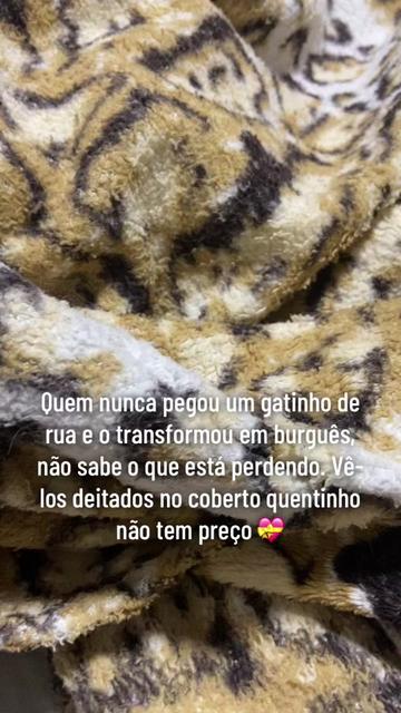 @Karoleos12gatos