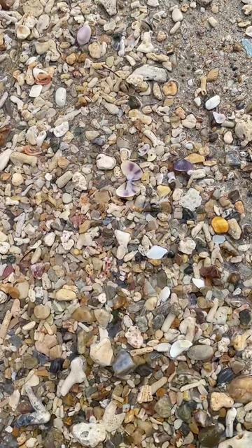 @Seaglass Goddess ღ