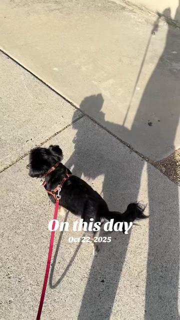 @Katrin - HappyPawsPantry