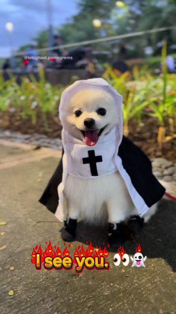 @G H O S T TheRunnerPom
