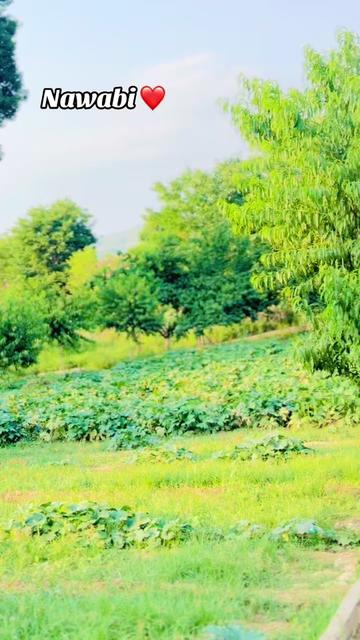 @NAWABi