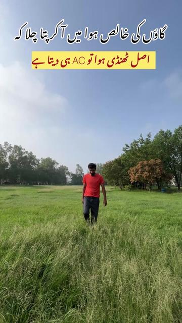@Hussnain