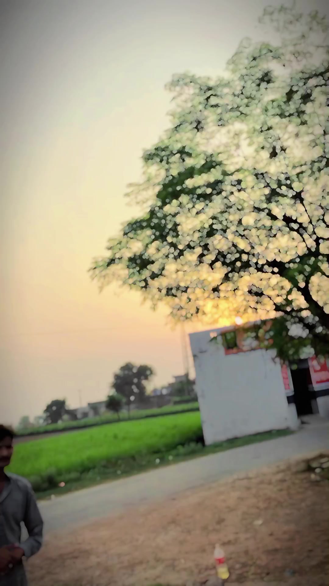@ارباز (بارہ منگا)🥷⚖️