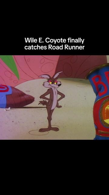 @Looney Tunes