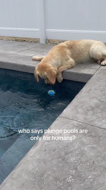 @Plunge Plus