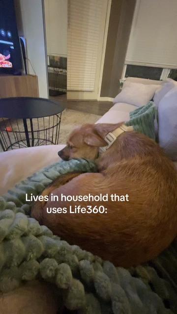 @magoosshitshow