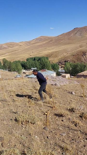 @Tarık Şahin