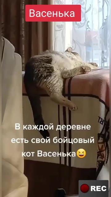 @Лариса