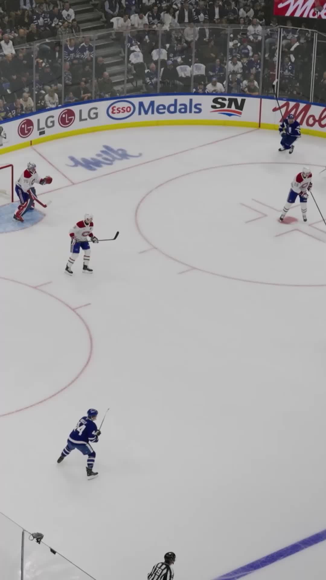 @Toronto Maple Leafs