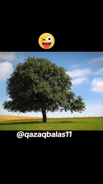 @𝐐𝐀𝐙𝐀𝐐 𝐁𝐀𝐋𝐀𝐒𝐈𝐈