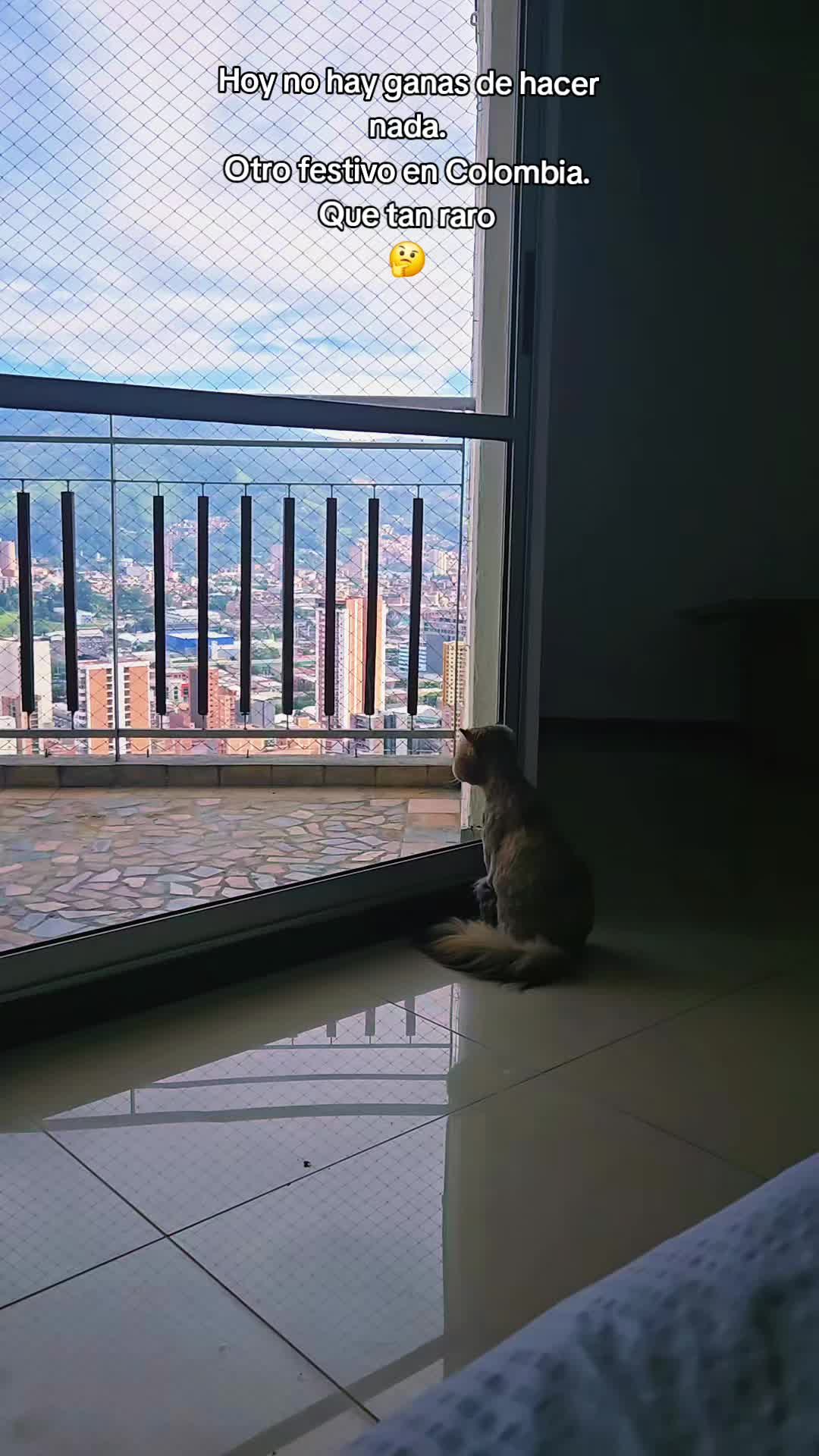@Luna