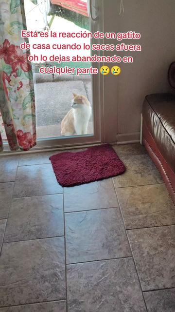 @Charlotte🐕🦺🐈🐕🦬🐐🐎🐄🐒