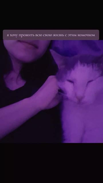 @тгк: гульбан