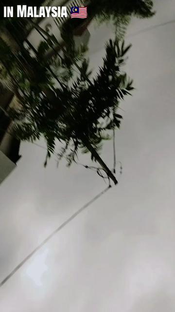 @๐ท๐๐๐ ๐ ๐๐๐ ๐ฏ๐๐๐๐