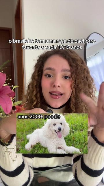 @LULI ENDLICH