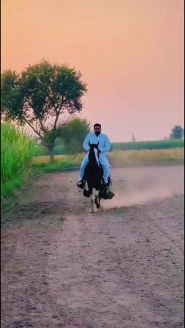 @Zaheer Farooqi