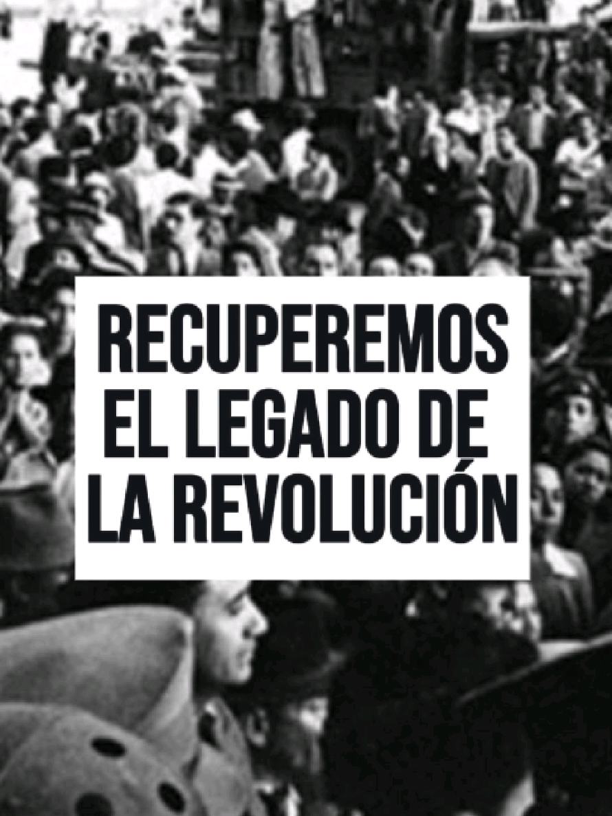 @José Chic