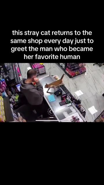 @SpaceXplorer