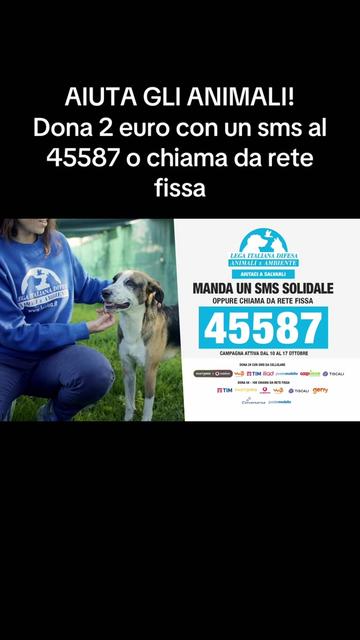 @LEIDAA