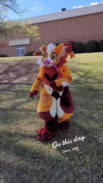 @Areyoufurwheels